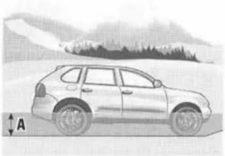 PORSCHE Cayenne S (2003) - Danger! - 1