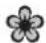 SEAT Leon (2006) - ATTENTION! (suite) - 1