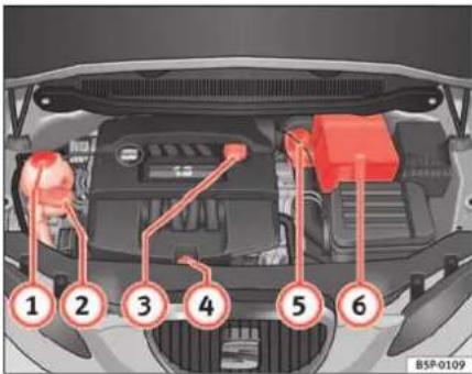 SEAT Leon (2006) - Vérification des niveaux - 1