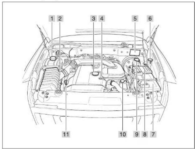 SSANGYONG Rexton (2004) - BLOC-MOTEUR - 12