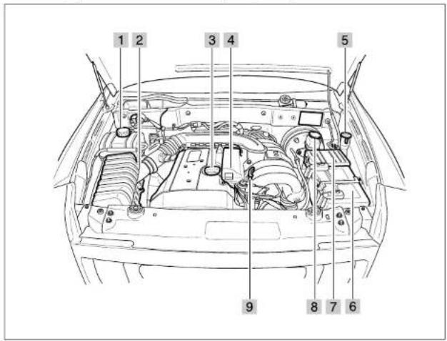 SSANGYONG Rexton (2004) - BLOC-MOTEUR - 10