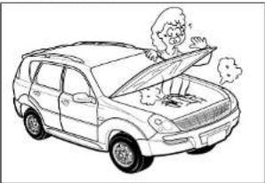 SSANGYONG Rexton (2004) - DANGER - 3