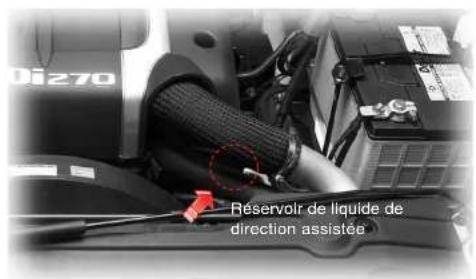 SSANGYONG Rodius (2005) - LIQUIDE DE DIRECTION ASSISTEE - 1