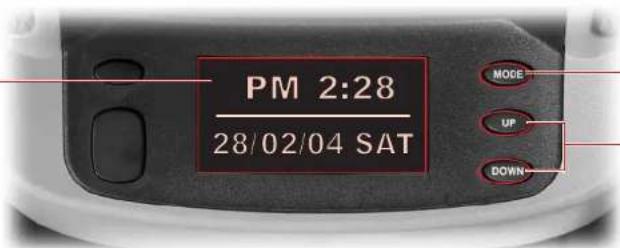 SSANGYONG Rodius (2005) - MULTIMETRE - 1