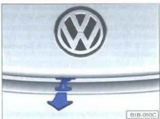 VOLKSWAGEN New Beetle (1999) - Ouverture - 1
