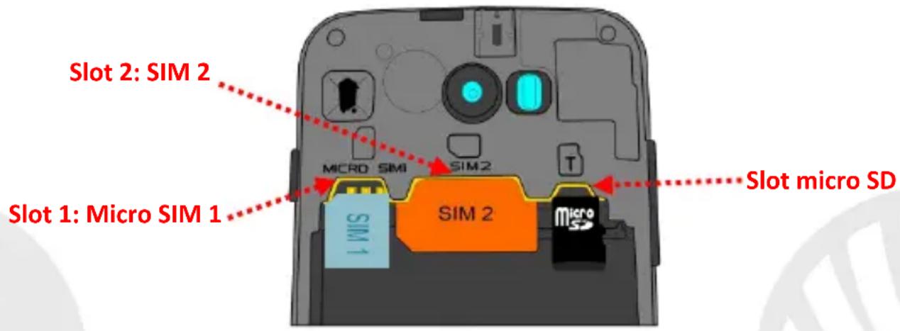 NGM-Mobile Dynamic Jump - Assemblaggio - 1