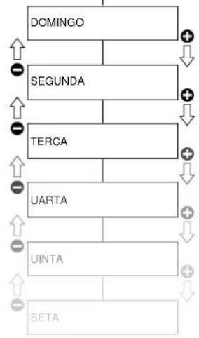 RANCILIO Classe 10 - Contadores parciais - 1