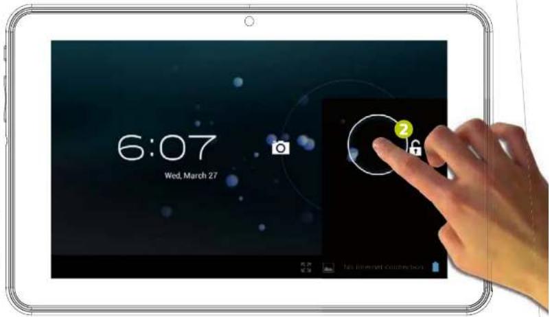 INGO Pro 7 - CARGA - 1