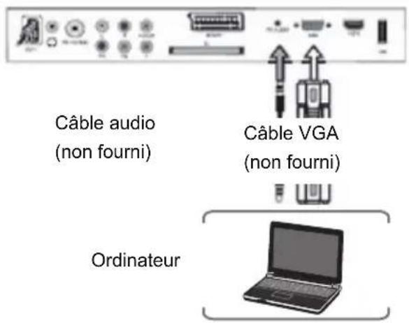 TOKAI LTL 1406 CK - Connexion PC et audio - 1