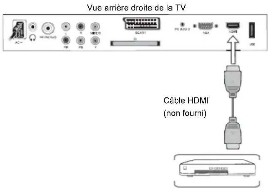 TOKAI LTL 1406 CK - Connexion HDMI - 1