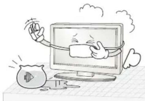 CHANGHONG E19X718 - Importanti istruzioni di sicurezza - 2