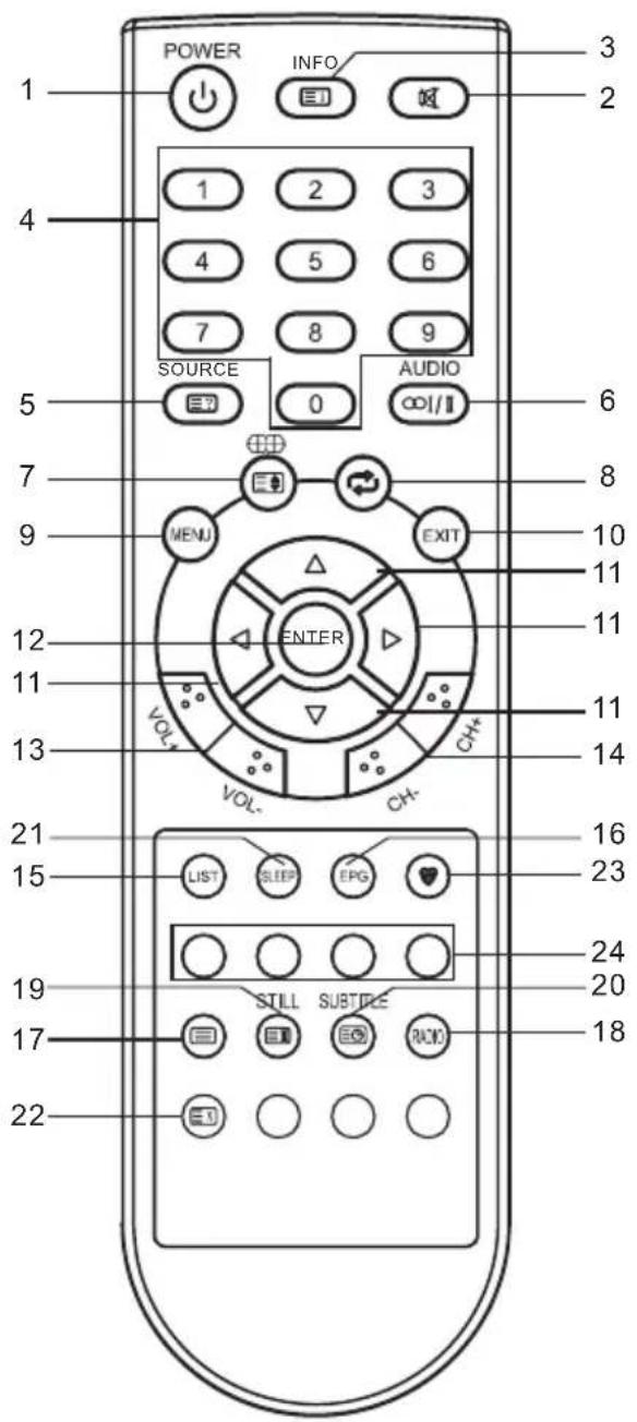 CHANGHONG E19X718 - Telecomando - 1
