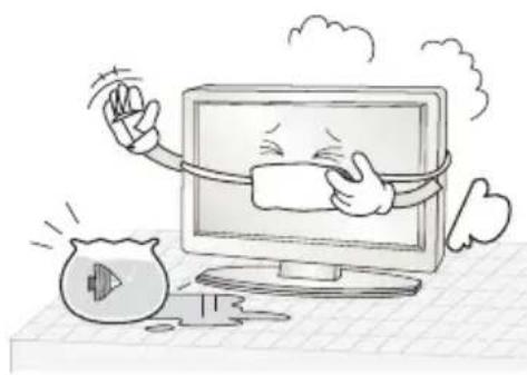 CHANGHONG E19X718 - WICHTIGE SICHERHEITSHINWEISE - 2