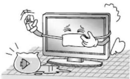 CHANGHONG EF22F718 - CONSIGNES DE SECURITE IMPORTANTE - 3