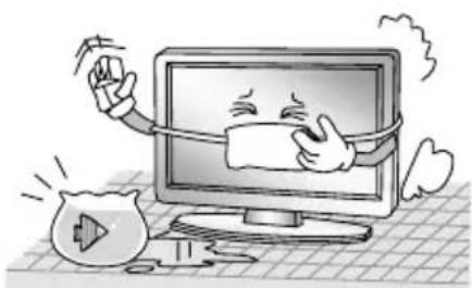 CHANGHONG EF22F868SD - WICHTIGESICHERHEITSHINWEISE - 2