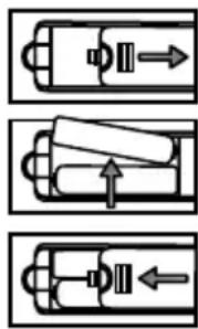 CHANGHONG EF22F868SD - Inlocuirea bateriilor - 1