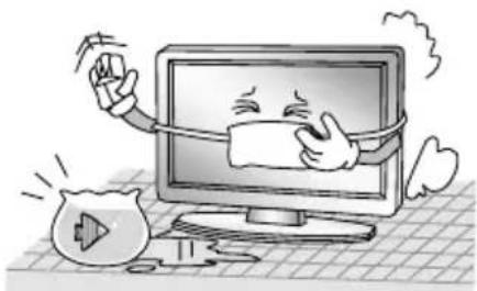 CHANGHONG EF24F868SD - WICHTIGE SICHERHEITSHINWEISE - 2