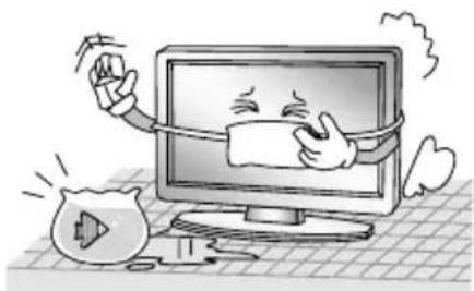 CHANGHONG EF24F868SD - BELANGRIJKE VEILIGHEIDSAANWIJZINGEN - 3