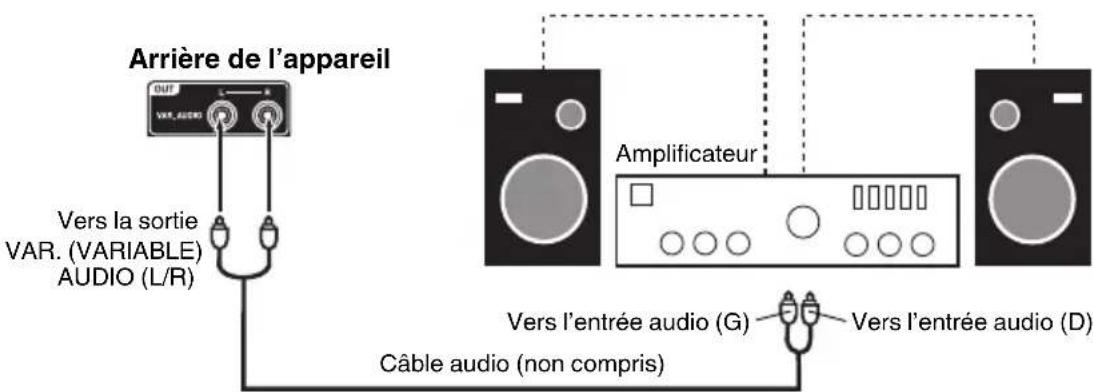 SANSUI SLED3900 - Pour raccorder une chaine audio - 1