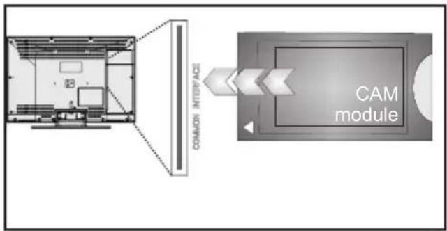 SCHAUB LORENZ 22LEE5900 - Utilisation du module d'accès conditionnel - 2
