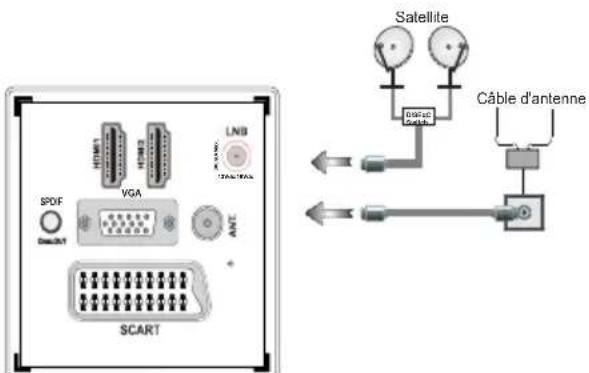SCHAUB LORENZ 22LEE5900 - Branchement à l'alimentation et à l'antenne/câble/Satellite - 1