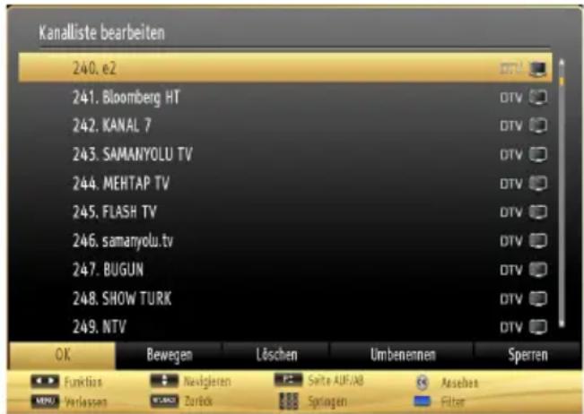 SCHAUB LORENZ 26LEE4900 - Satelliten-Installation - 2