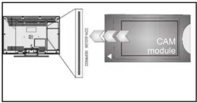 SCHAUB LORENZ 26LEE4900 - Utilisation du module d'accès conditionnel - 2