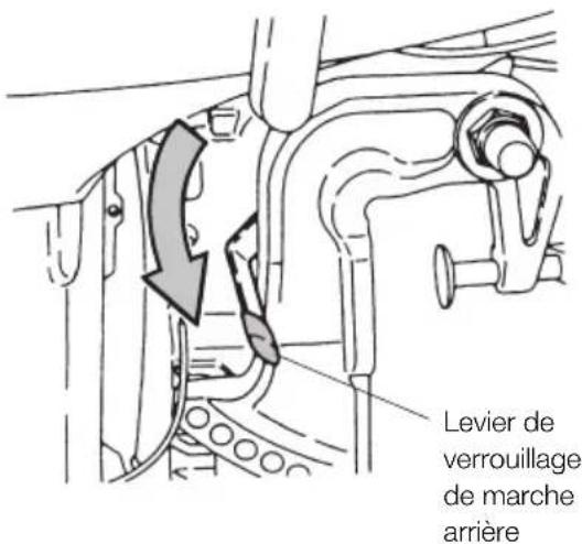 Tohatsu MWX50D2 EverRun - Amarrage avec le moteur relevé - 2