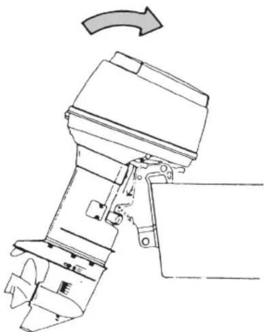 Tohatsu MWX50D2 EverRun - F type - 2
