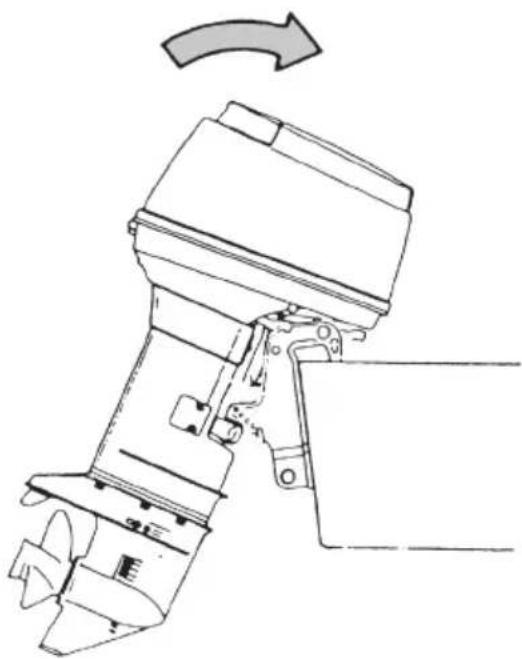 Tohatsu MWX50D2 EverRun - Type f - 2