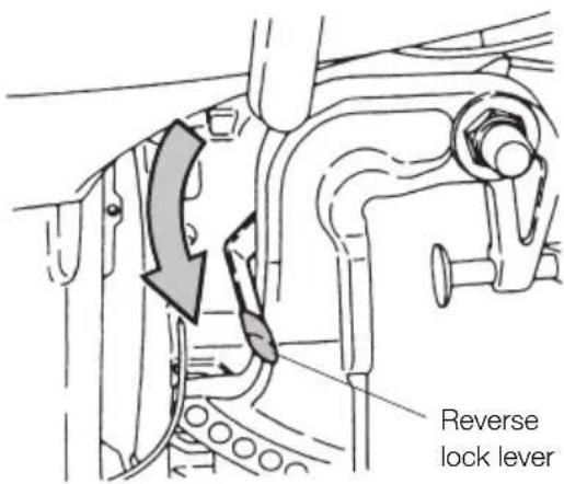 Tohatsu MX50D2 EverRun - Mooring with the engine tilted up - 2