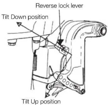 Tohatsu MX30H EverRun - Tilt down - 1