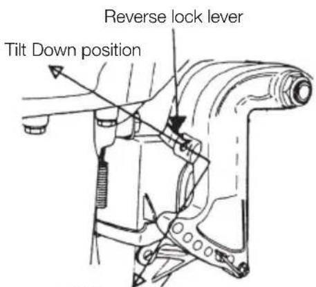 Tohatsu MX25H EverRun - Tilt down - 1