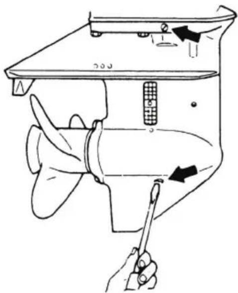 Tohatsu MX25H EverRun - PRECAUCION - 2