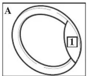 BOMANN WA 923 - - Loading door-Opening - 1