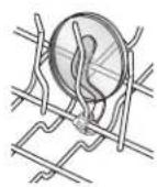 MAYTAG MDB4949SDM - Cup Clips - 1