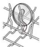 MAYTAG MDB7949SDE - Cup Clips - 1
