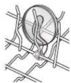 MAYTAG MDB8969SDM - Attaches pour tasses - 1