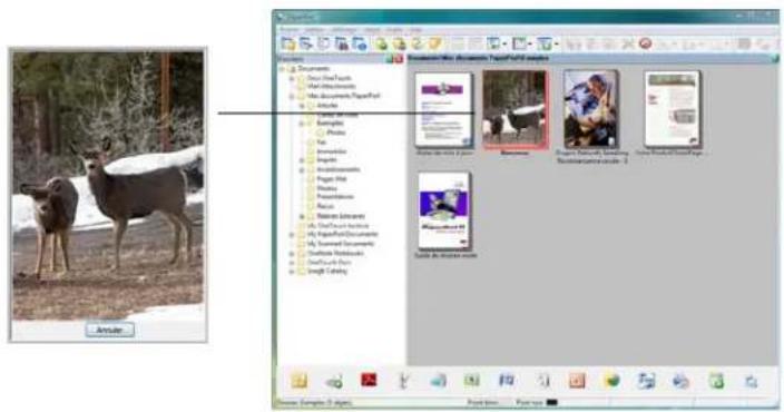 XEROX Documate 7600 - Pour numériser à partir du panneau de boutons One Touch : - 3
