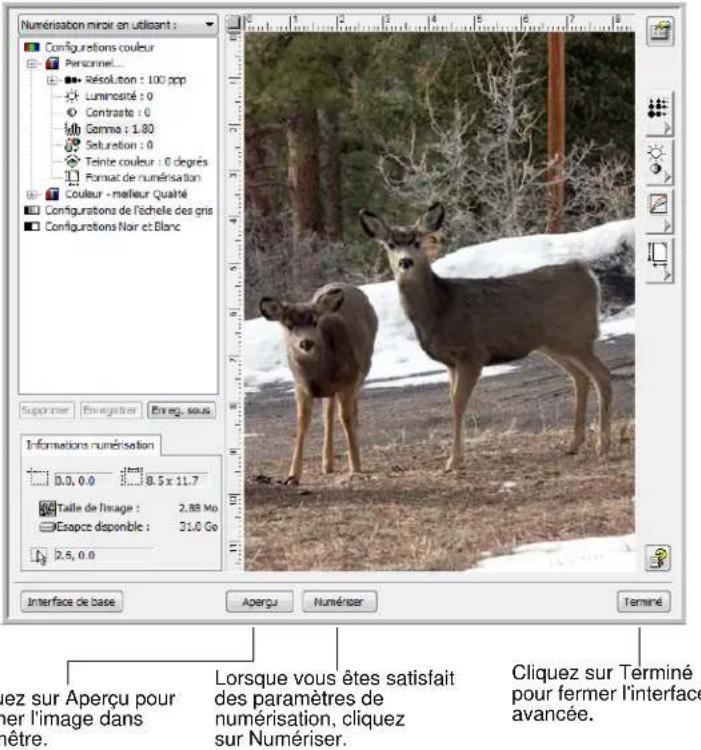 XEROX Documate 7600 - Numérisation à partir de l'interface TWAIN avancée - 1