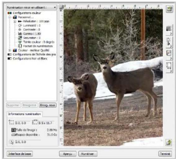 XEROX Documate 7600 - Les deux options d'interface TWAIN - 2