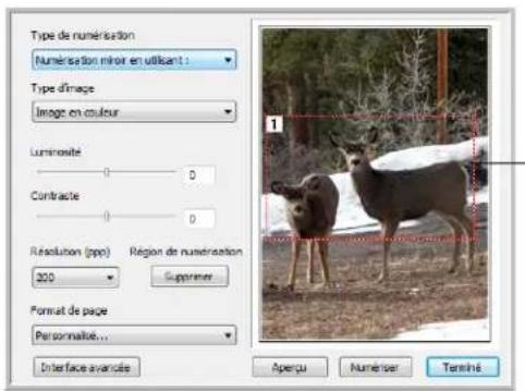 XEROX Documate 7600 - Numérisation d'une partie d'une image - 1