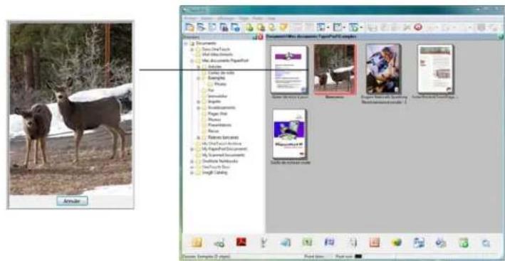 XEROX Documate 7600 - Numérisation de documents papier ou de photographies : - 3