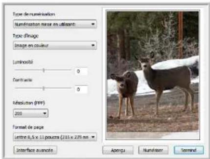 XEROX Documate 7600 - Les deux options d'interface TWAIN - 1