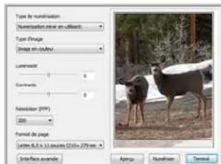 XEROX Documate 7600 - Numérisation - 3