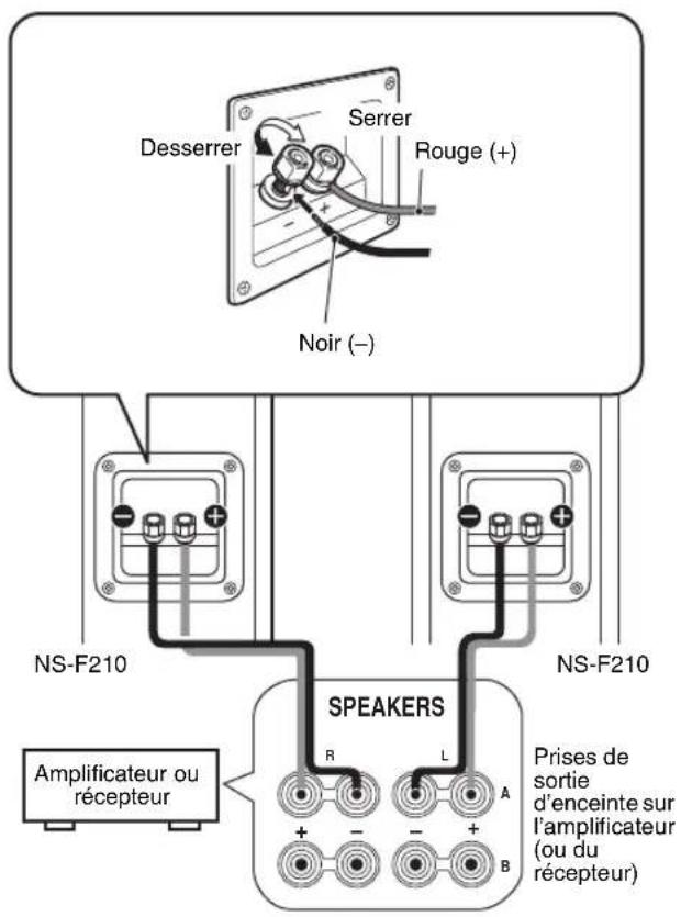 YAMAHA NSPC210 - CONNEXIONS À VOTRE AMPLIFICATEUR - 1