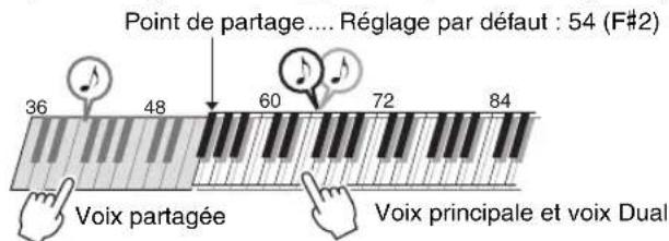 YAMAHA PSRE333 - Reproduction de voix différentes avec la main gauche et la main droite – Split - 1