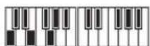 YAMAHA PSRE333 - Affichage du clavier - 1