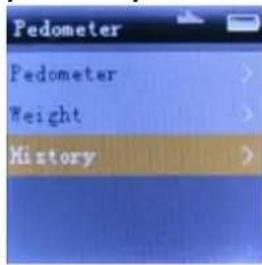 ZipyLife Jumping - Pedometer Mode - 5