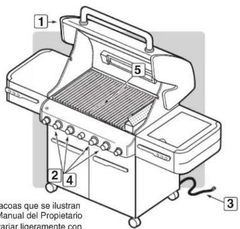 WEBER Summit E470 - PARA APAGAR - 2